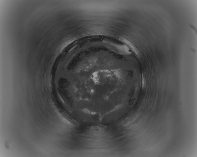 X0000091360627200708241311