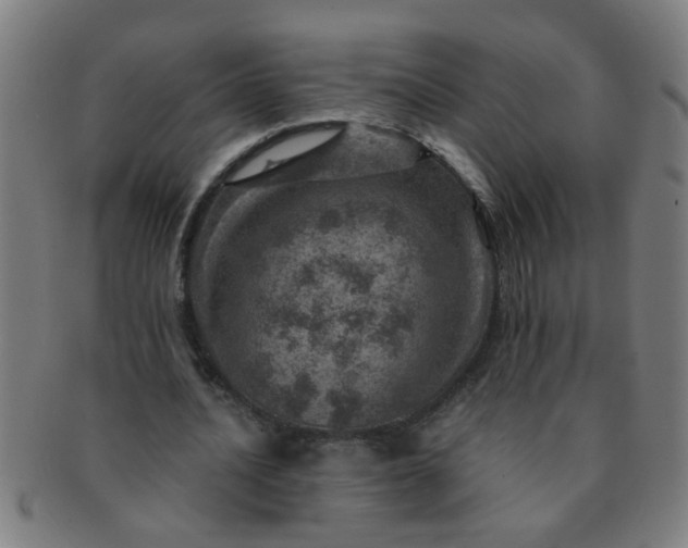 X0000091360628200708241311