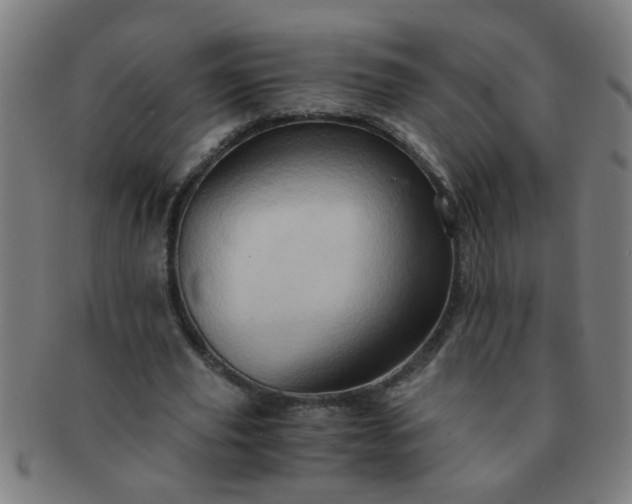 X0000091360629200708241311