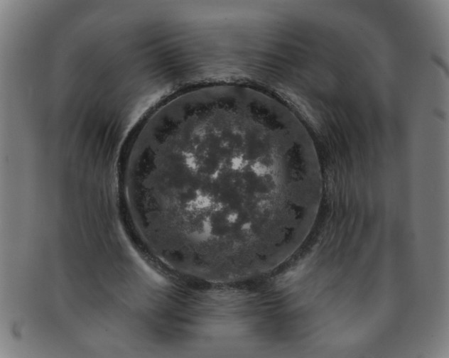 X0000091360630200708241311