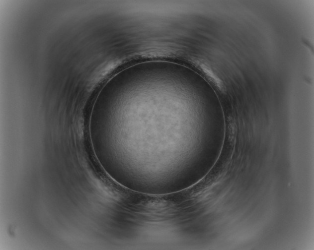 X0000091360631200708241311