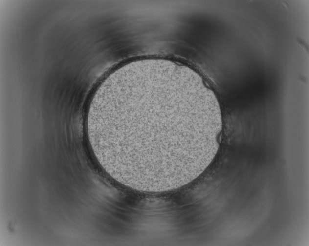 X0000091360632200708241311