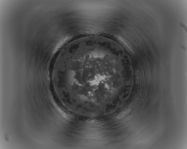 X0000091360634200708241311