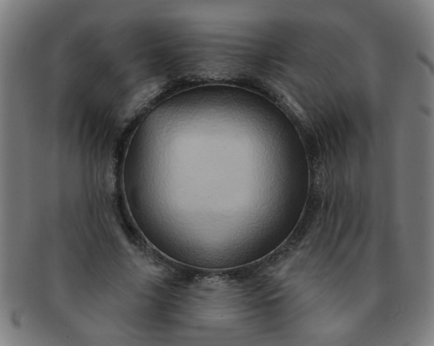 X0000091360635200708241311
