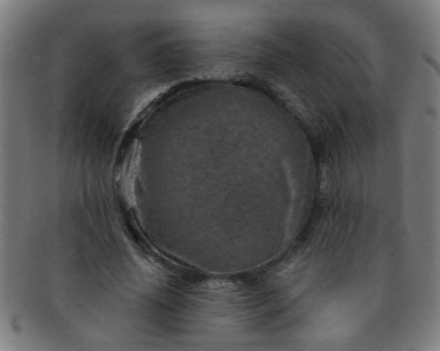 X0000091360636200708241311