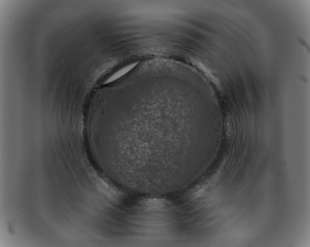 X0000091360637200708241311