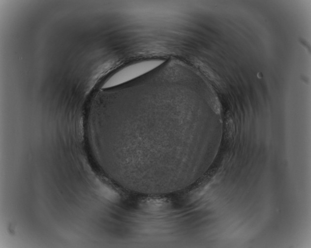 X0000091360638200708241311