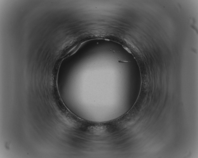 X0000091360639200708241311