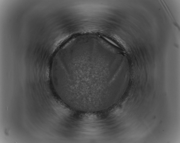 X0000091360640200708241311