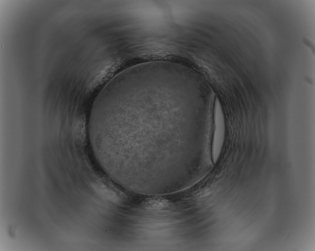 X0000091360642200708241311