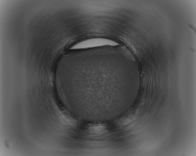 X0000091360643200708241311
