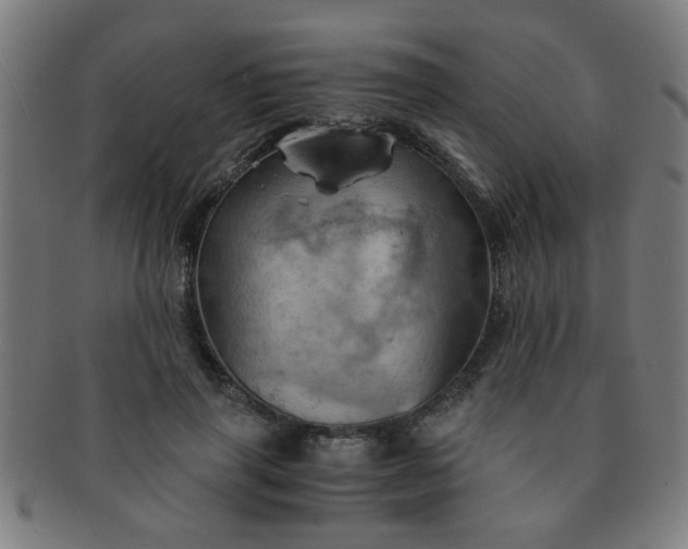 X0000091360645200708241311