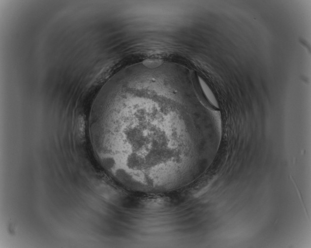 X0000091360646200708241311