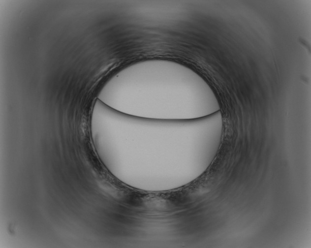 X0000091360648200708241311
