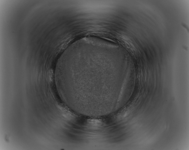 X0000091360649200708241311