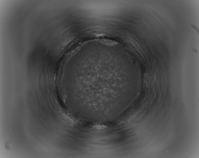 X0000091360650200708241311