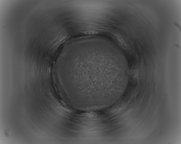 X0000091360652200708241311