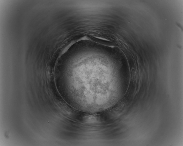 X0000091360655200708241311