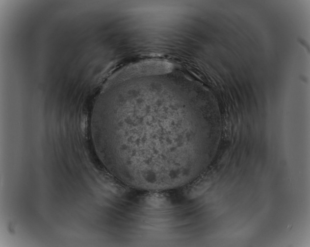 X0000091360656200708241311