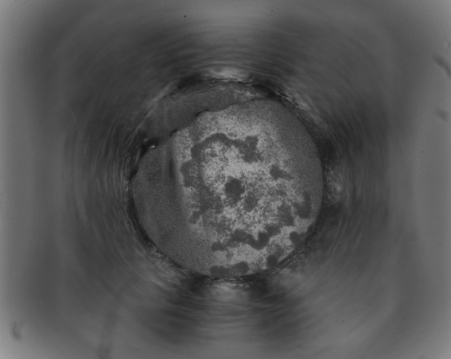 X0000091360657200708241311
