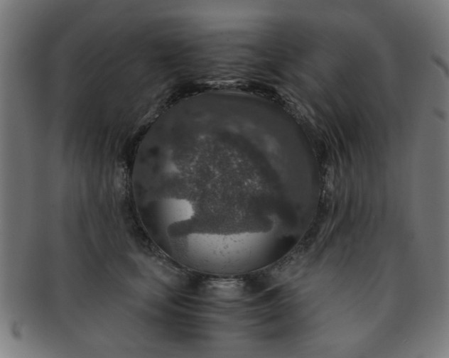 X0000091360659200708241312