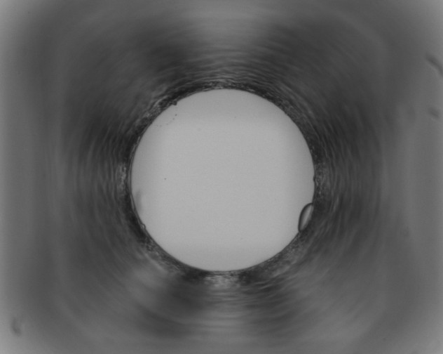 X0000091360660200708241312