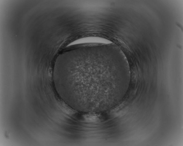 X0000091360661200708241312