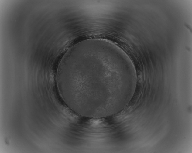 X0000091360662200708241312