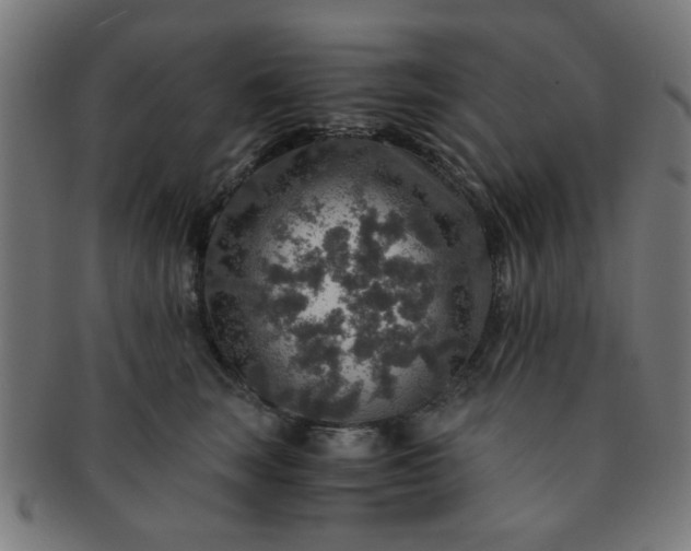 X0000091360663200708241312
