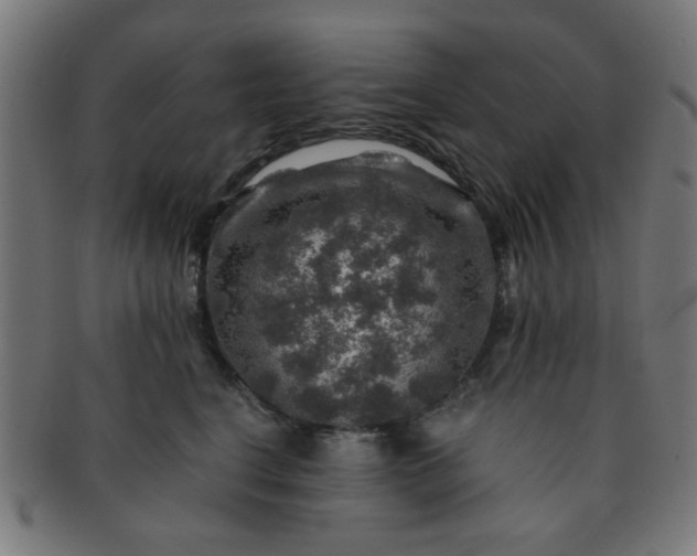 X0000091360664200708241312