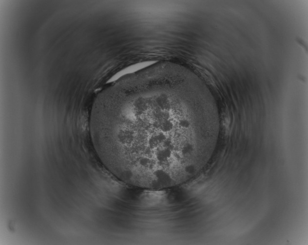 X0000091360665200708241312