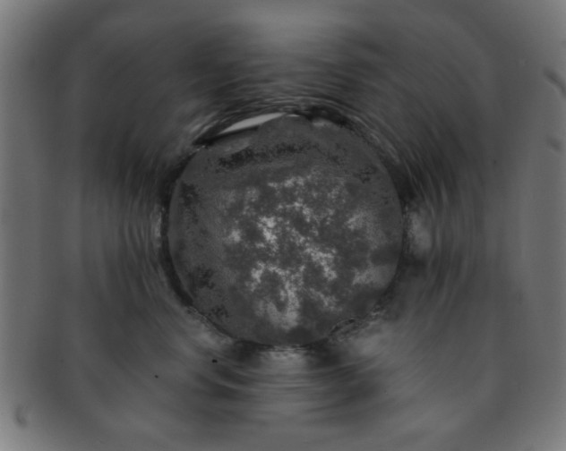 X0000091360668200708241312