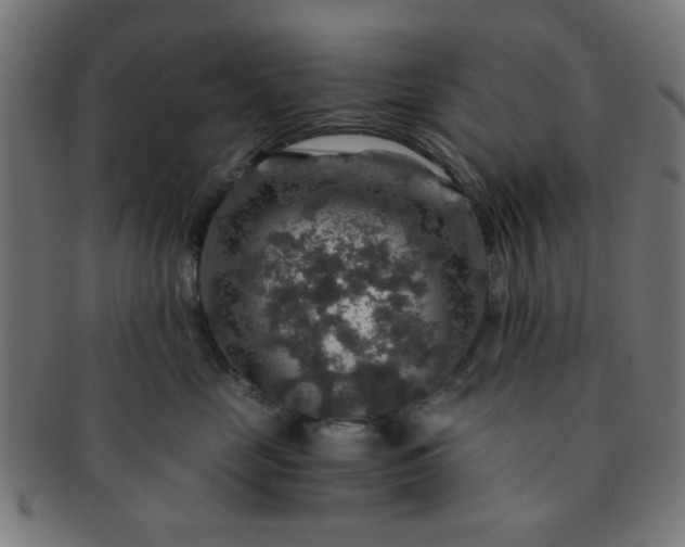 X0000091360669200708241312