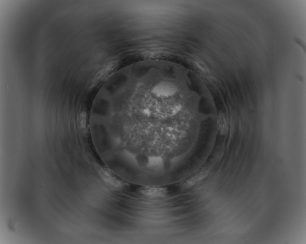 X0000091360670200708241312