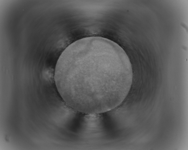 X0000091360672200708241312