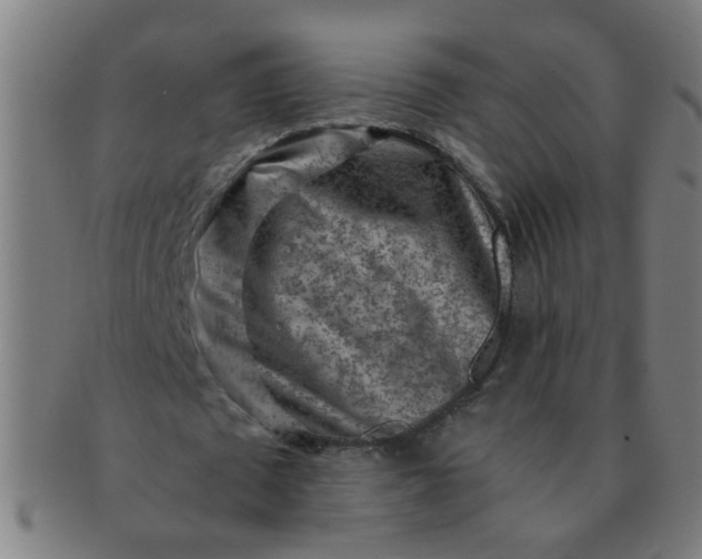 X0000091360673200708241311