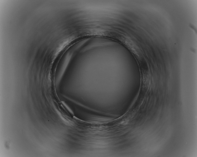 X0000091360674200708241311