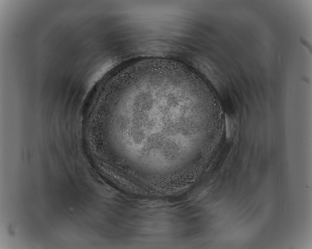 X0000091360675200708241311