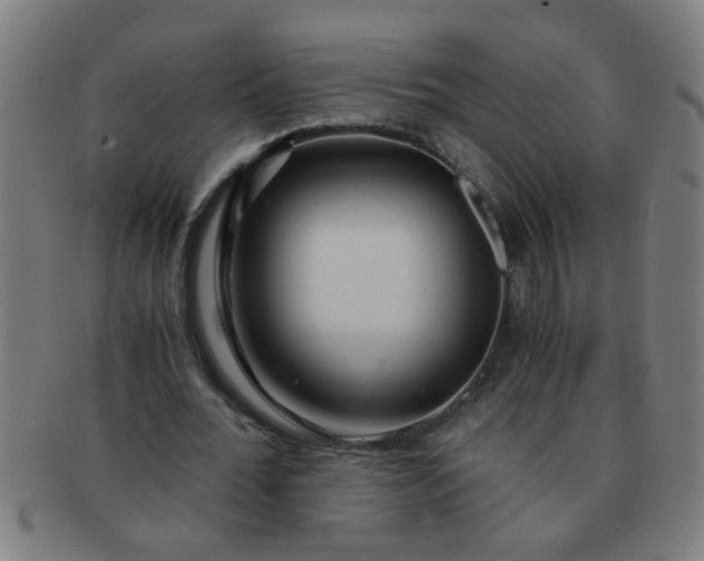X0000091360676200708241311