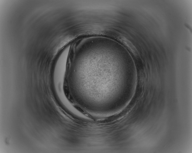 X0000091360677200708241311