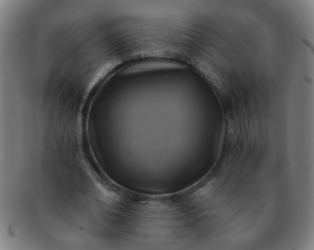 X0000091360678200708241311
