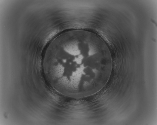 X0000091360679200708241311