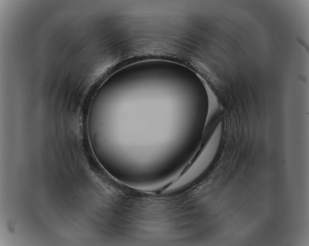 X0000091360680200708241311