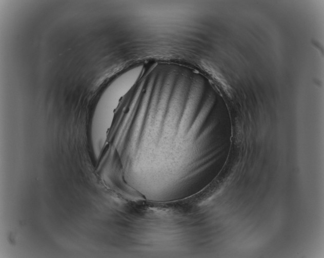 X0000091360681200708241311