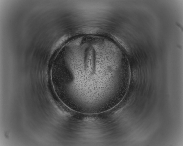 X0000091360682200708241311
