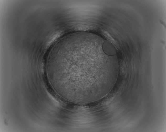 X0000091360683200708241311