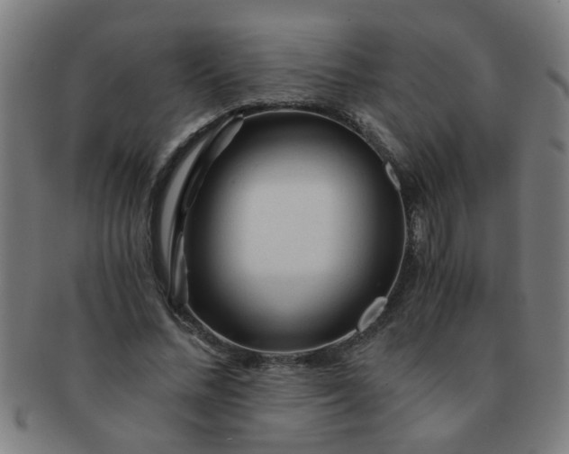 X0000091360684200708241311