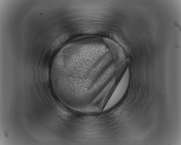 X0000091360685200708241311