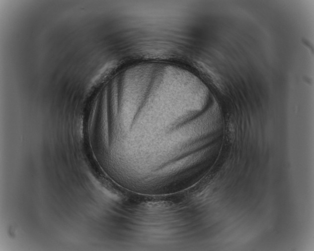 X0000091360686200708241311