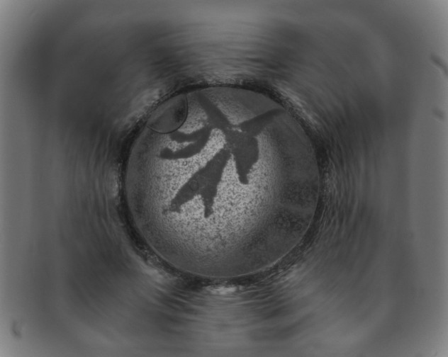 X0000091360687200708241311